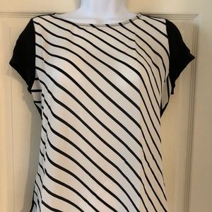 Ann Taylor Ivory and Black Blouse